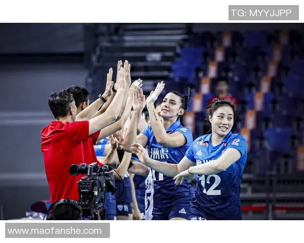 深圳排球队实力变革引发热议展望未来发展新机遇